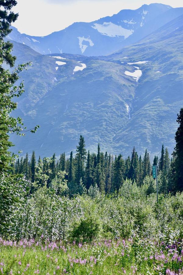 The Perch Resort Denali Park Extérieur photo