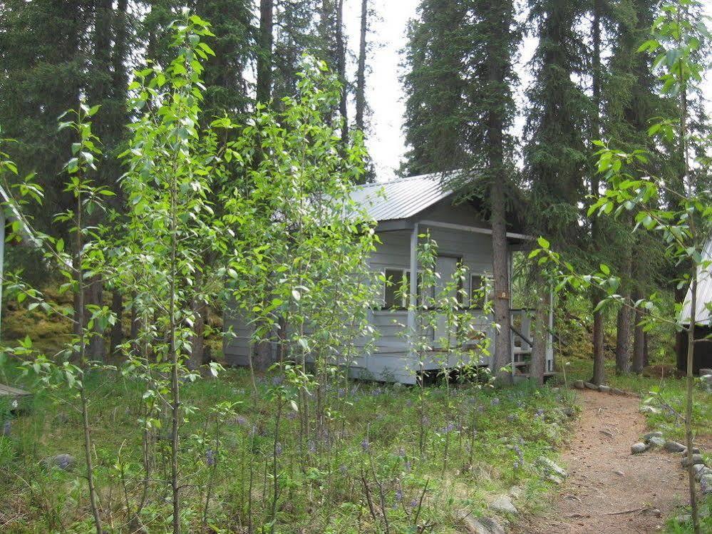 The Perch Resort Denali Park Extérieur photo