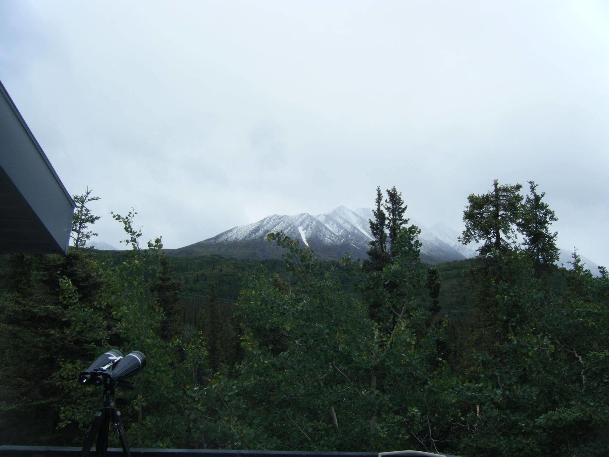 The Perch Resort Denali Park Extérieur photo