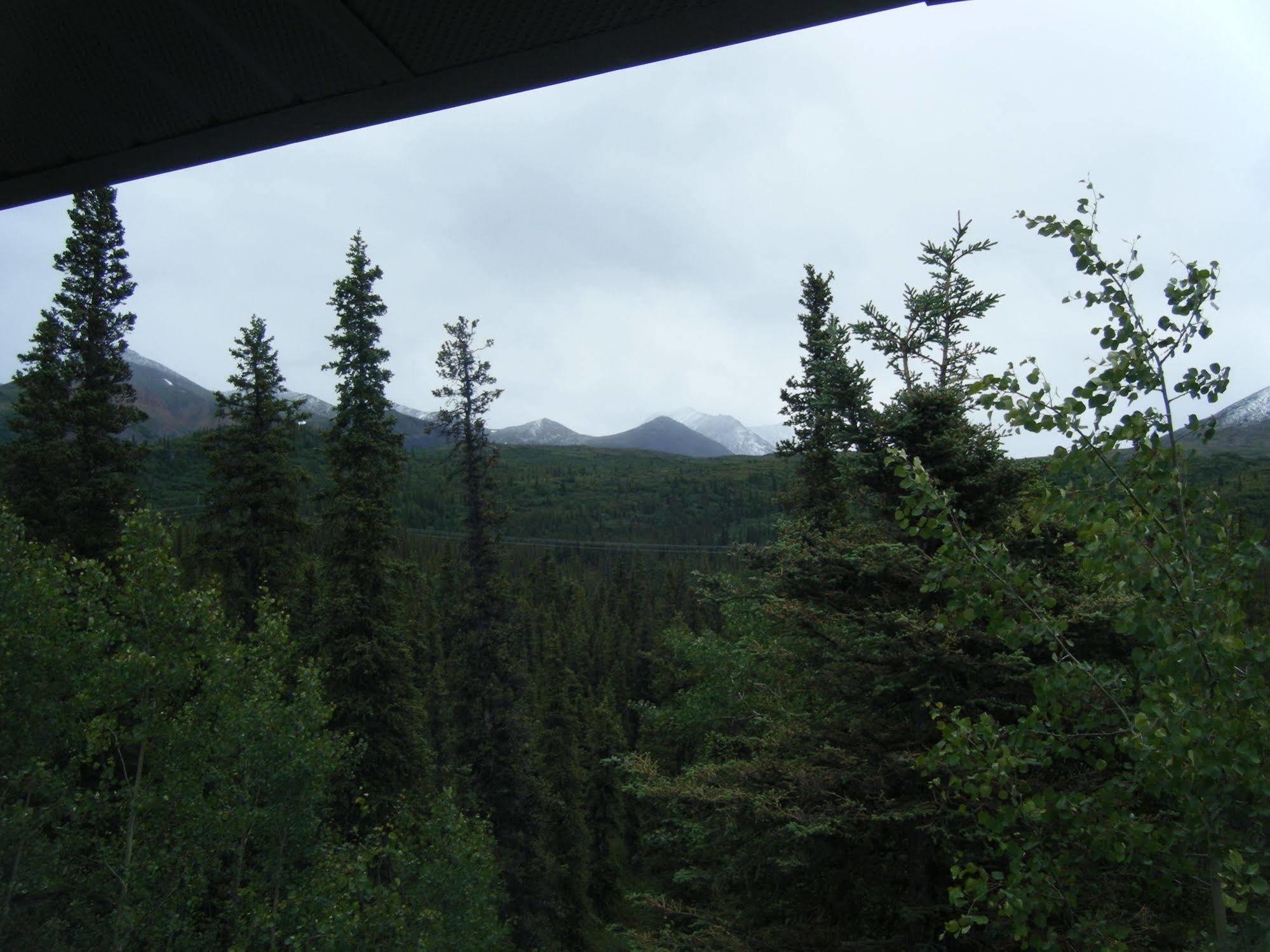 The Perch Resort Denali Park Extérieur photo